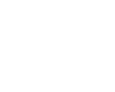 Top Digital Marketing Agency in Raleigh